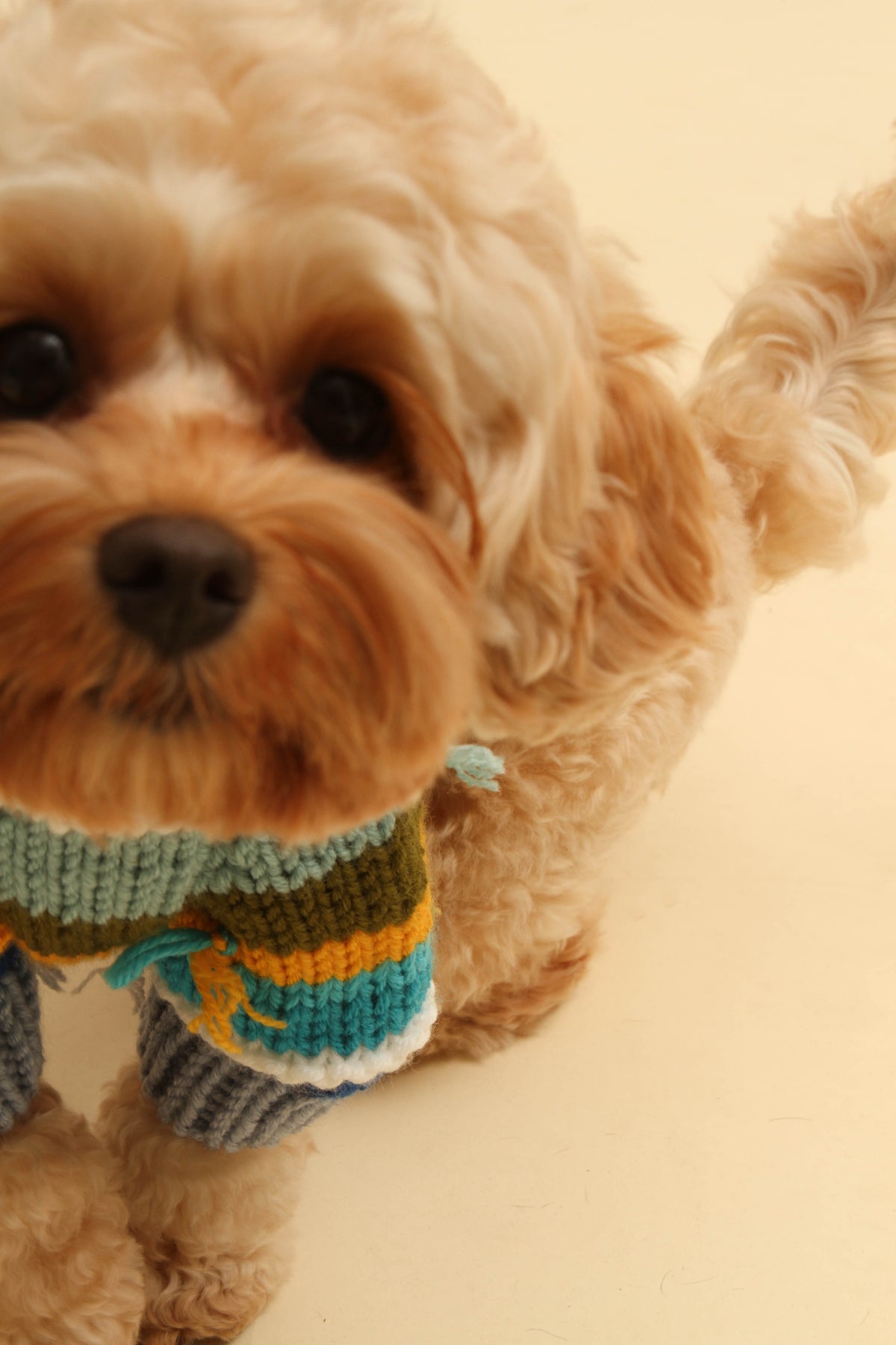 ugly sweater with threads