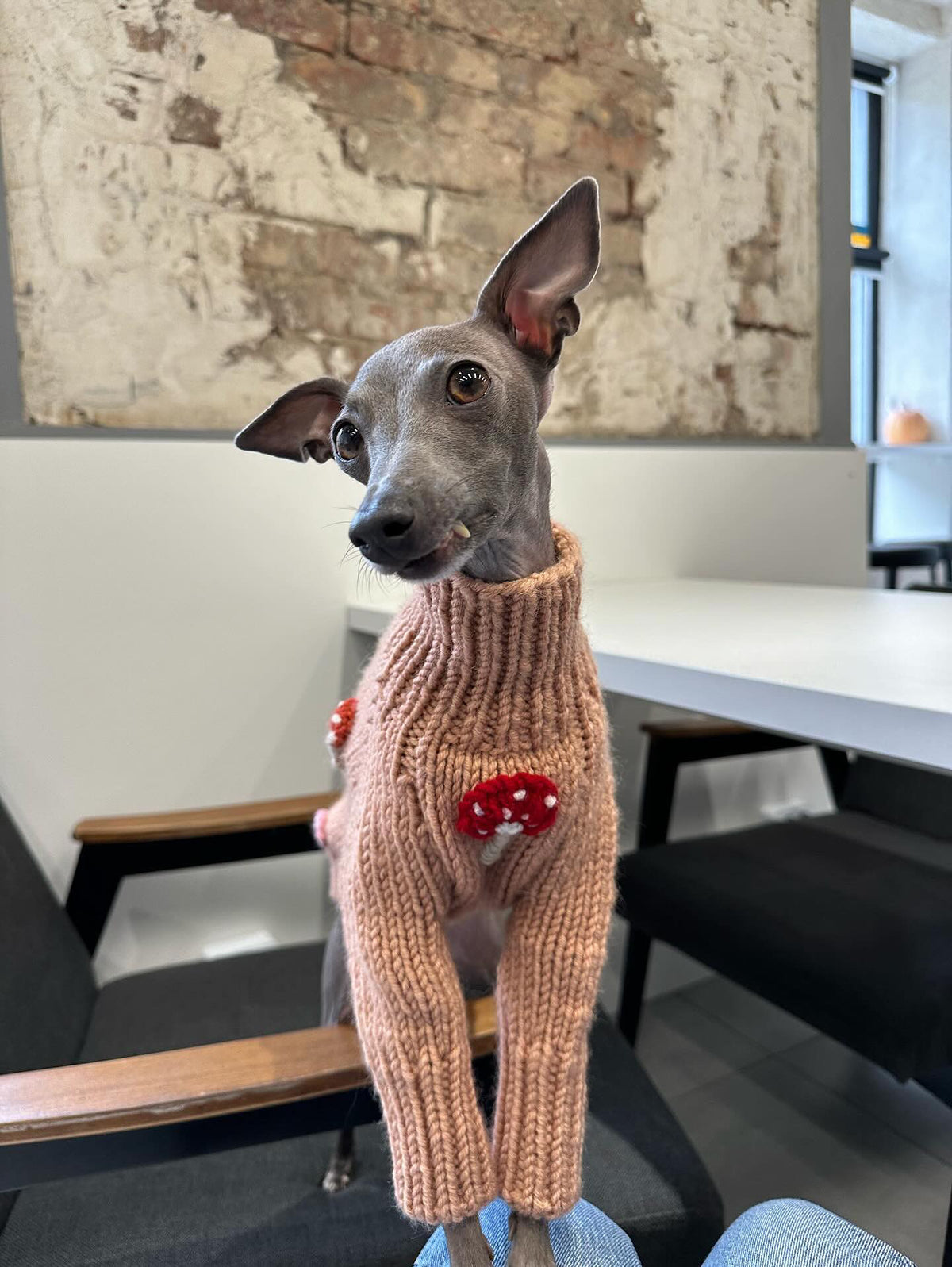 mushroom sweater