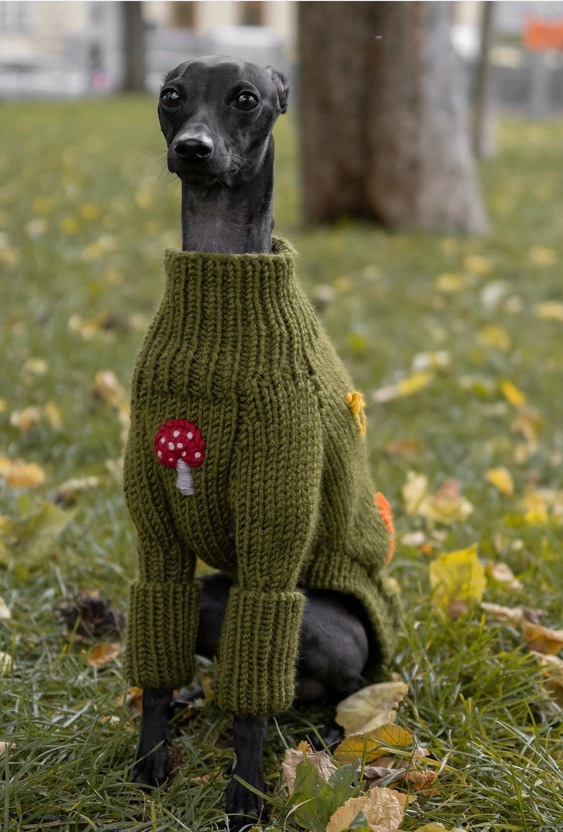 mushroom sweater