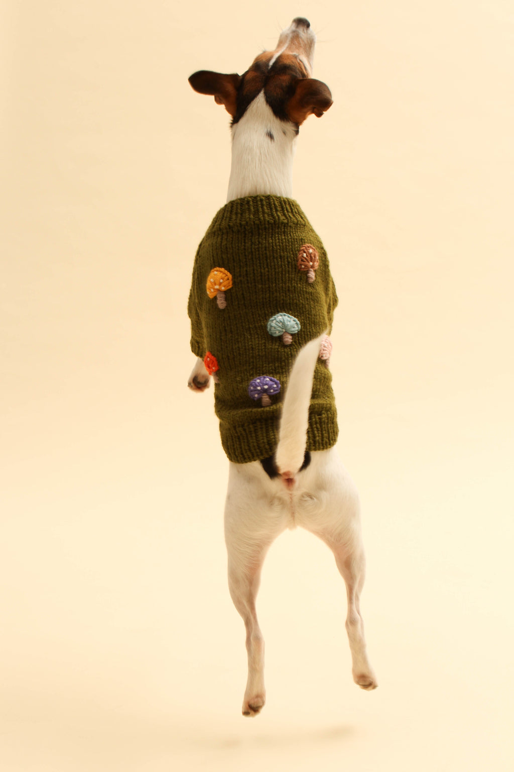 mushroom sweater