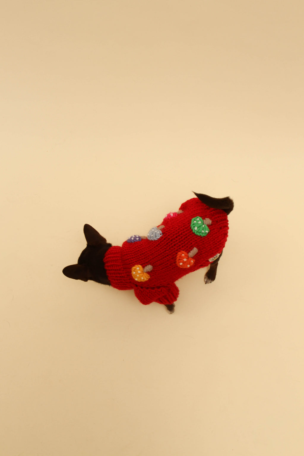 mushroom sweater