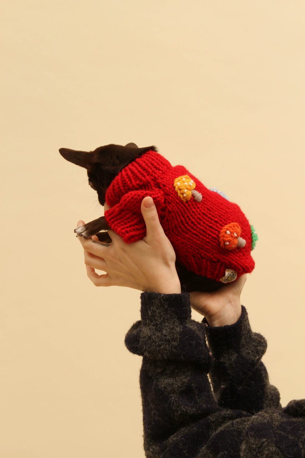 mushroom sweater